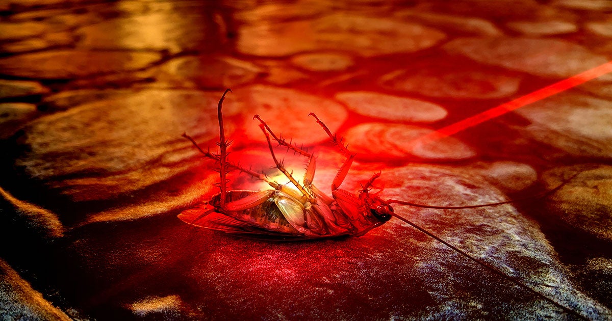 Researchers at Edinburgh's Heriot-Watt University have constructed an AI-powered robot trained to kill cockroaches and other insects with a deadly laser.