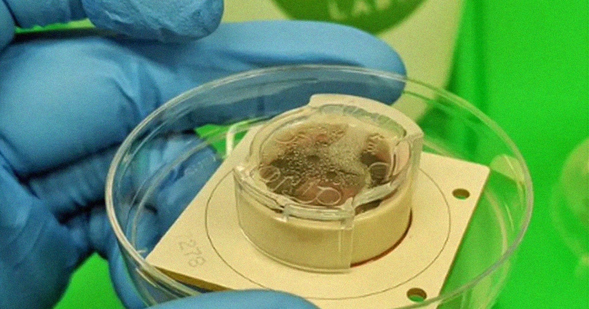 In Scientists were, for the first time, able to show that 800,000 living brain cells trapped in a petri dish can be taught how to play the videogame Pong.
