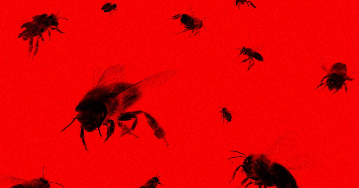 A woman protesting an allegedly wrongful eviction unleashed her wrath by siccing hundreds of bees on cops serving the eviction notice.