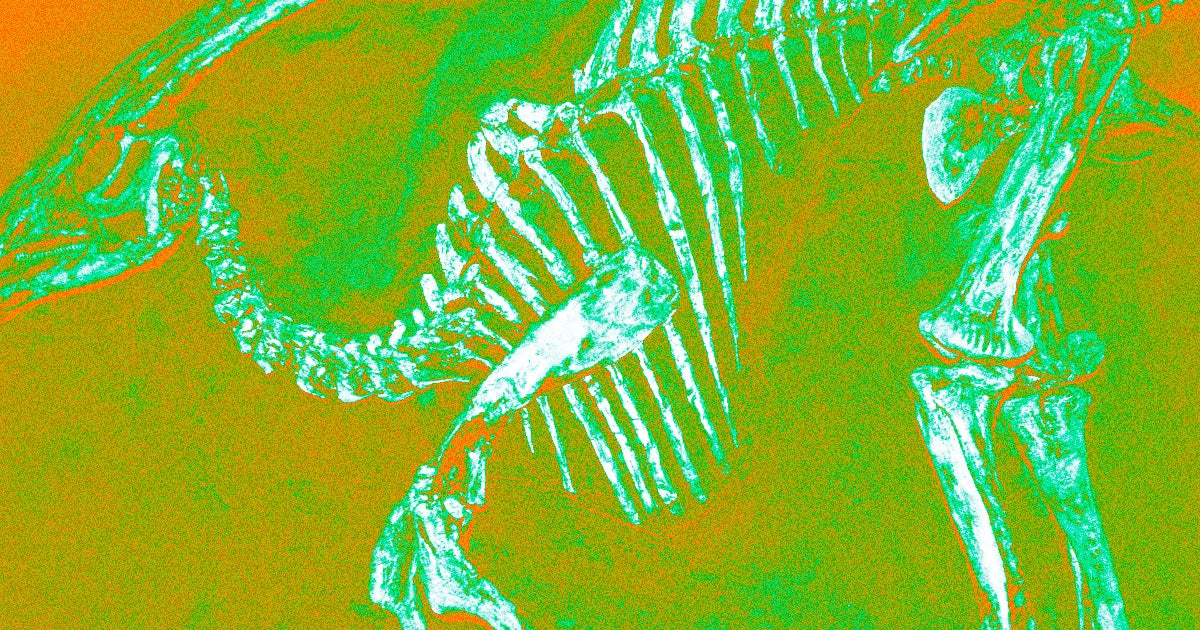 Billionaire commercial astronaut Jared Isaacman says we should bring back the dinosaurs — and we're almost convinced that he's kidding.