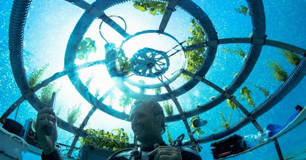 Welcome to "Nemo's Garden," a beautiful underwater garden off of Italy's Northwestern coast. The underwater greenhouses are called "biospheres."