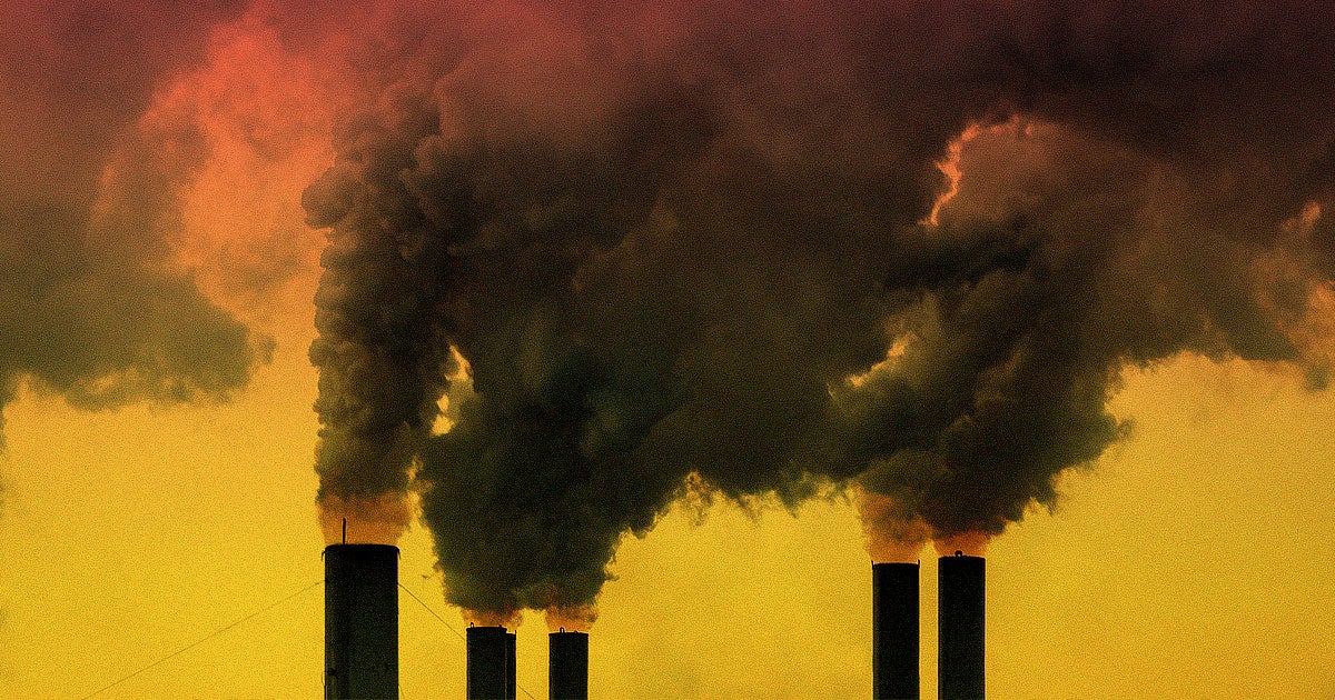 Humans have known about climate change for decades. So why are we choosing to destroy our planet — and with it, ourselves?