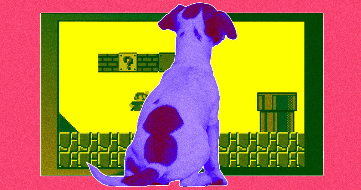 From the department of Why Not, Axios reports that a UK-based startup dubbed Joipaw is prototyping a new kind of videogame... made for dogs.