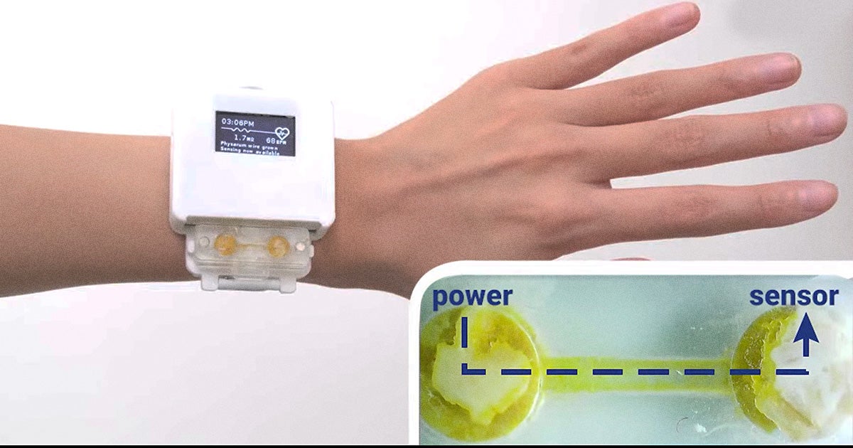 A smartwatch powered by slime mold is already pretty weird, but how about the truly unique dynamic that creates between a user and the watch?