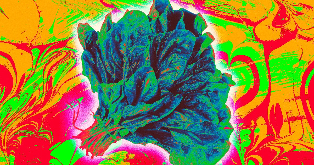 Grocery stores have been forced to recall some prepackaged salad mixes after tons of people got sick from a baby spinach mix that gave them hallucinations.