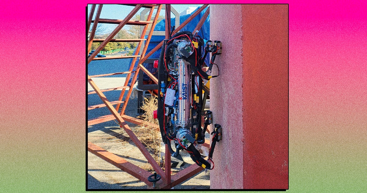 Robodogs can be both cute and scary, and now researchers in Korea say they've developed one that can climb walls and ceilings faster than its rivals.