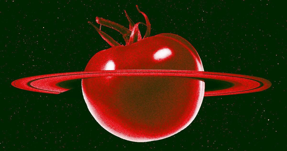 It's not exactly a greenhouse, but astronauts aboard the ISS have been carefully tending to their garden for years. Time for fruits to join the mix.