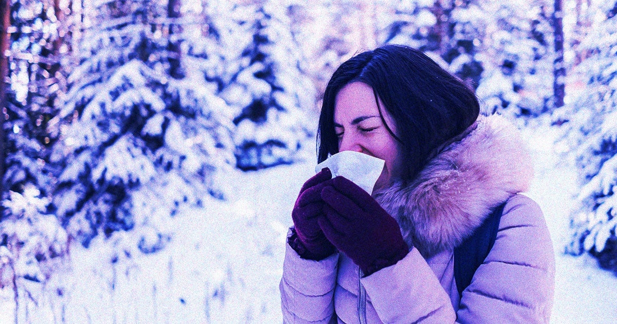 A team of researchers may have finally figured out why people are far more likely to get colds and the flu when temperatures drop during the winter.