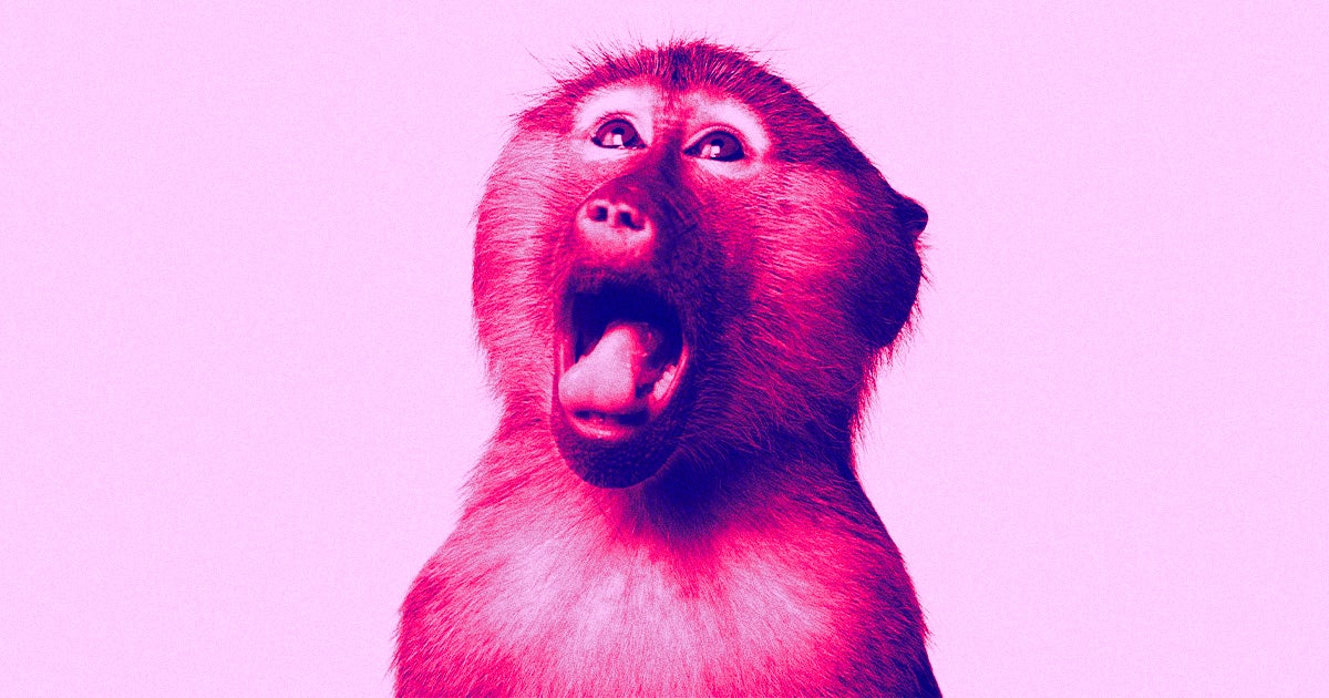Strange things were certainly afoot this weekend, with zookeepers in Dallas and Louisiana announcing separate incidents of monkey theft.