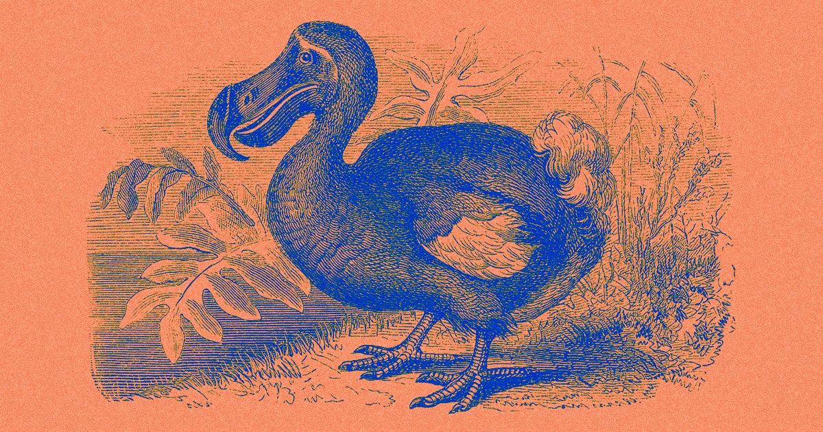 Colossal Sciences, a self-branded "de-extinction" company, has rallied another significant amount of funding and has completed sequencing a dodo genome.