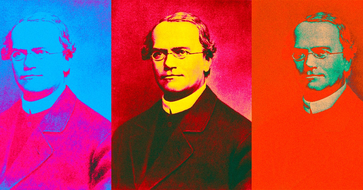 Just before his 200th birthday, scientists exhumed the remains of Gregor Mendel, the Czech friar credited with being the father of genetics.