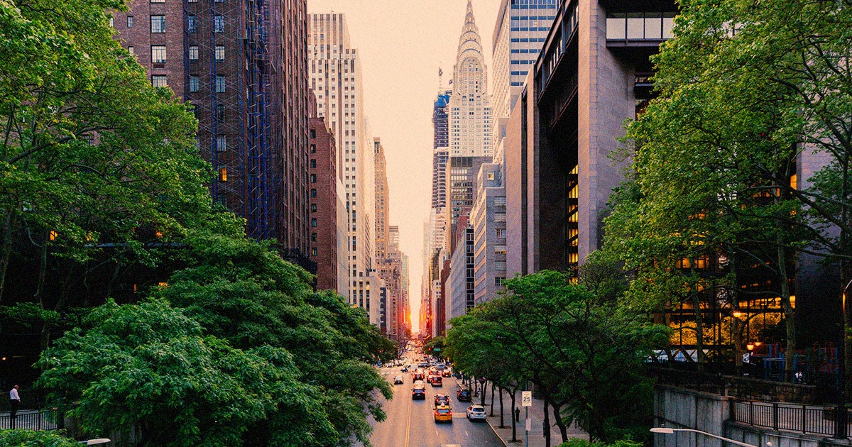 New research suggests that hidden vegetation in NYC seems to absorb a lion's share of its carbon emissions via photosynthesis. 