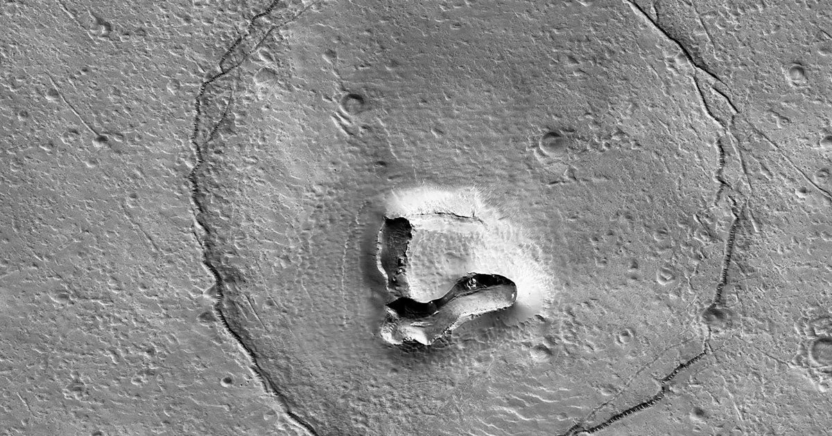 NASA's Mars Reconnaissance Orbiter snapped a photo of an unusually mammalian structure on our dusty red neighbor. Definitely looks like a bear.