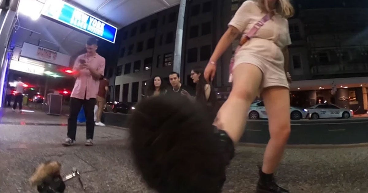 An expensive robodog that was trawling the streets of Brisbane late at night got the crap kicked out of it for no reason by a belligerant Aussie.