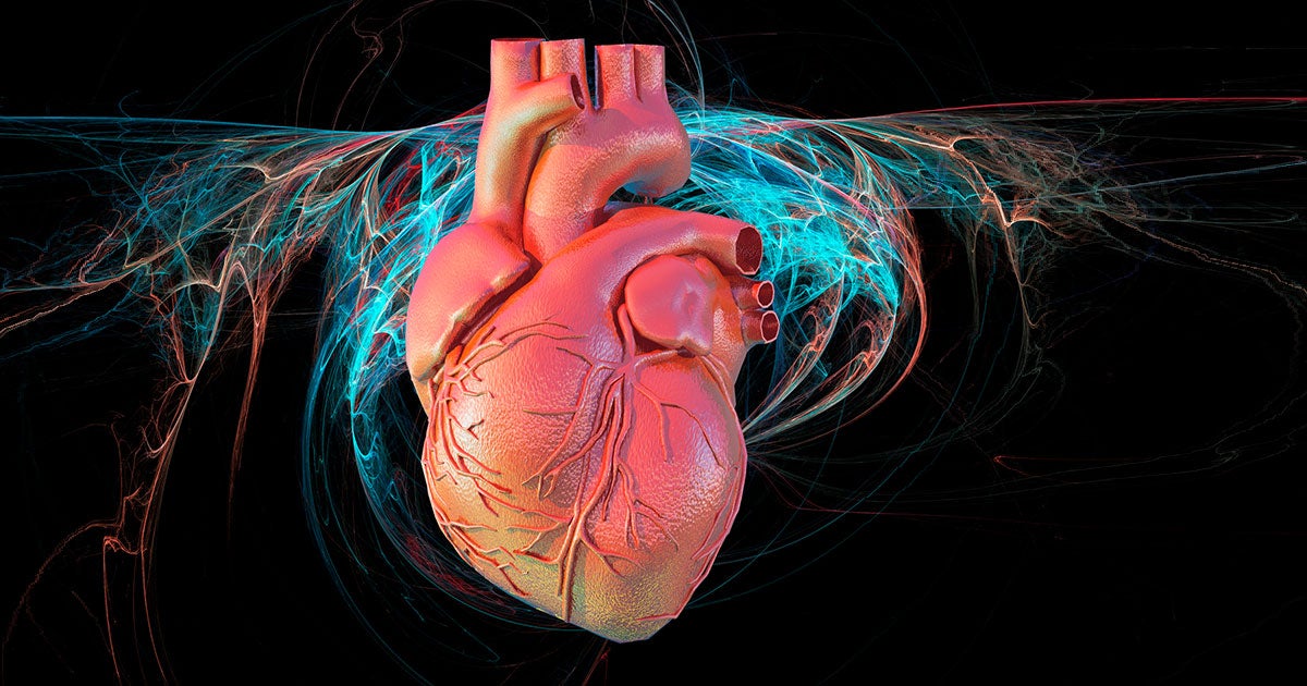 The genes of people who live past 100 may help those of us who age less gracefully stay heart-healthy for longer thanks to some exciting new research. 