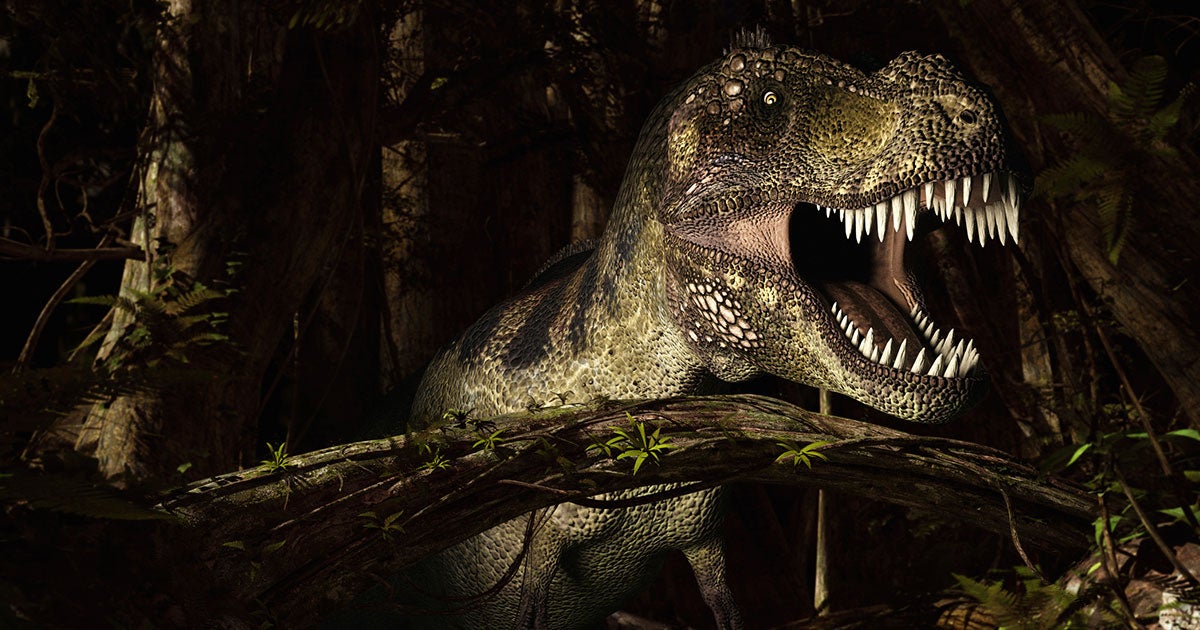 New research suggests that the T-Rex didn't just have loads of teeth, but plenty of neurons — enough to make them the "primates of their time."