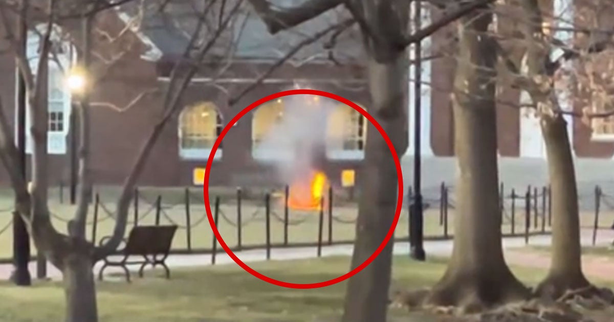 A University of Delaware student "accidentally" created a small amount of a "shock-sensitive explosive chemical" in one of the university's labs.