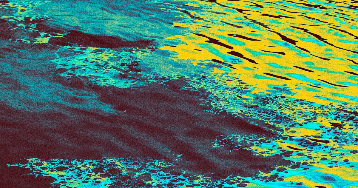 Canadian deep sea mining firm The Metals Company has been accused by its own scientists of meddling with their data and dumping sediment into the ocean.