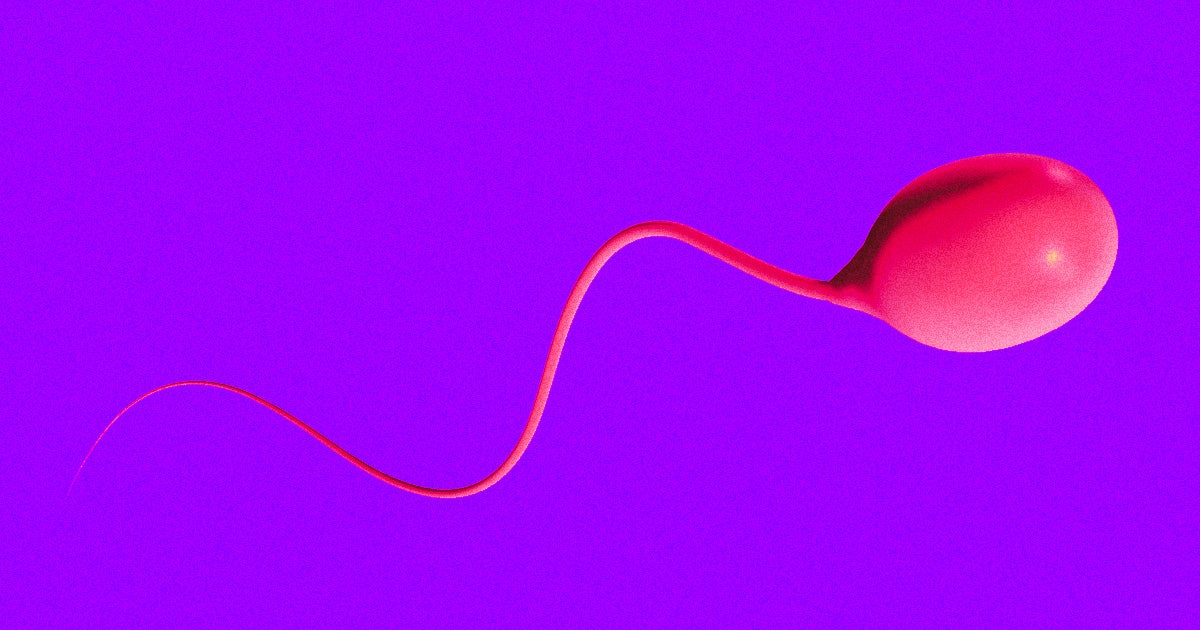 We've gotten one step closer to finally having male birth control on the market thanks to an incredible new study about a successful pill prototype.