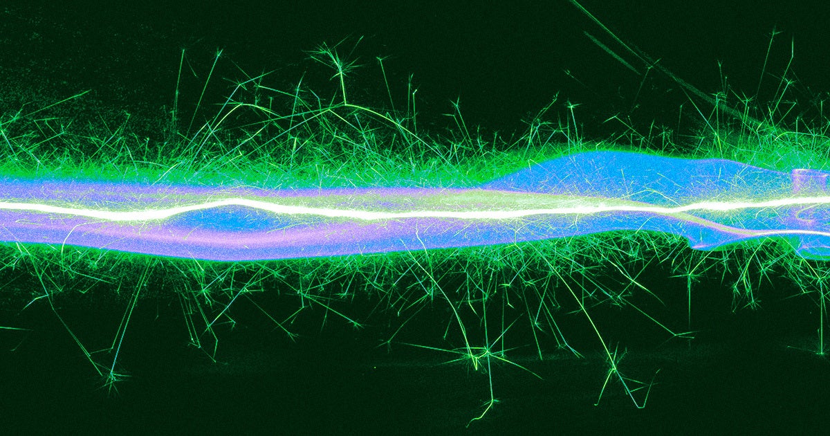 Australian scientists have discovered a new bacterial enzyme that can turn air — yes, seriously — into working electricity.