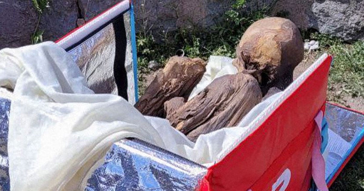 A man in Peru was caught lugging around the mummified remains of a woman, who likely died well over 600 years ago, tucked inside a food delivery cooler bad.