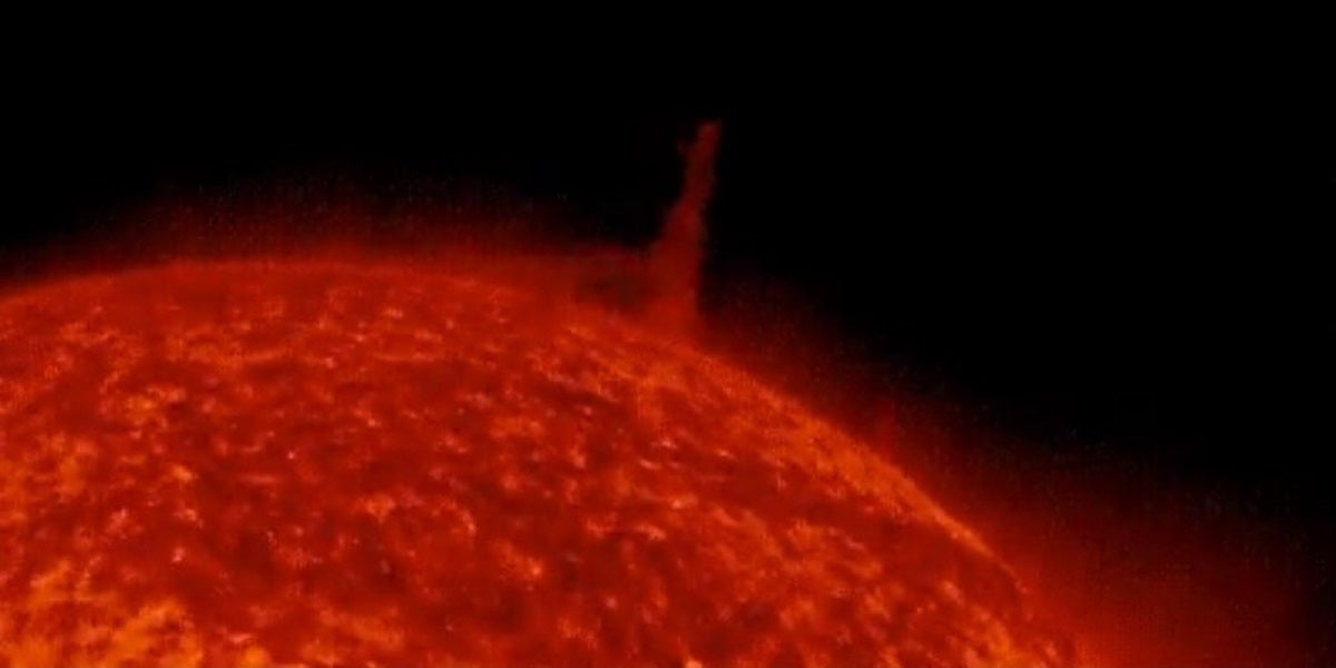 A ginormous, tornado of plasma has been spotted on the Sun's surface, violently raging within a powerful magnetic structure.