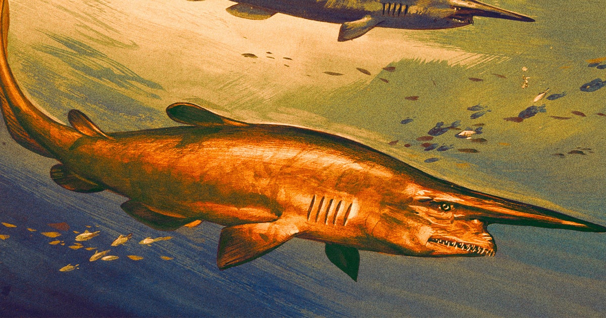 What should've been a career high discovery of a goblin shark in the Mediterranean might be nothing but shoddy science and a prankster's plastic.