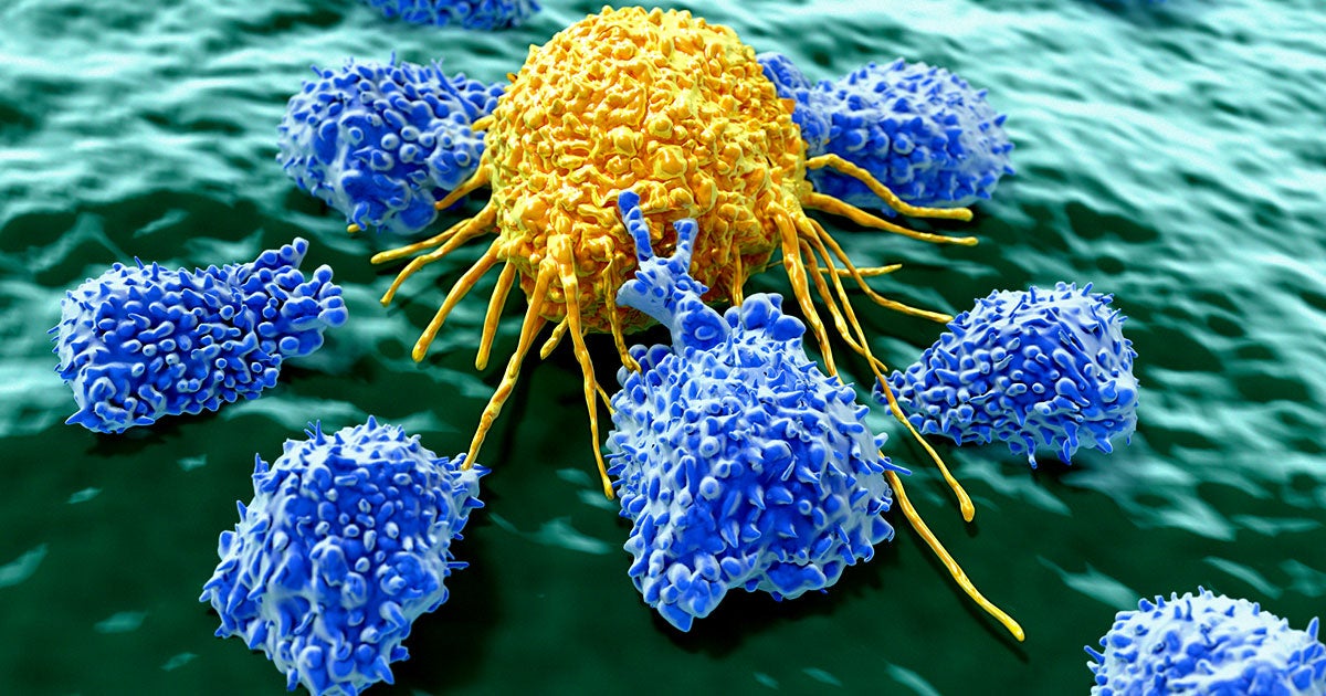 A team of researchers at Tel Aviv University in Israel has come up with tiny micro-robots that can distinguish between healthy and dying cells.
