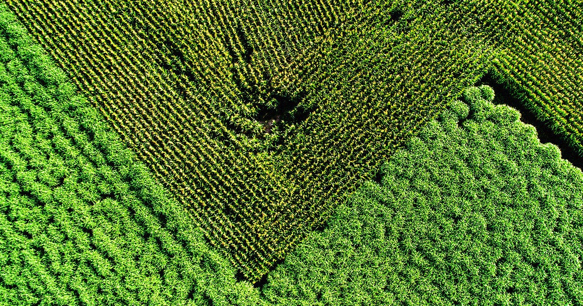 A team of researchers has proposed a radical and potentially affordable solution that could solve the entire climate crisis in one fell swoop.