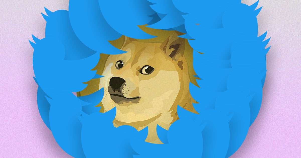 Twitter CEO Elon Musk has swapped Twitter's logo for the Dogecoin logo, a meaningless change that has already caused investors to flock to the currency.
