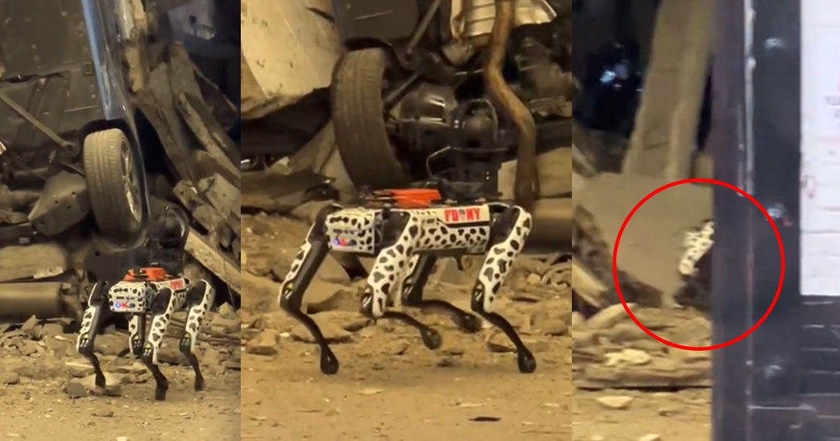 In a viral social media video, the FDNY's new Spot robodog is seen being deployed into a search-and-rescue zone — only to simply fall over.