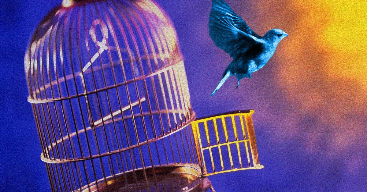 Twitter users are clamoring to get an invite to former Twitter CEO Jack Dorsey's decentralized Twitter alternative Bluesky.