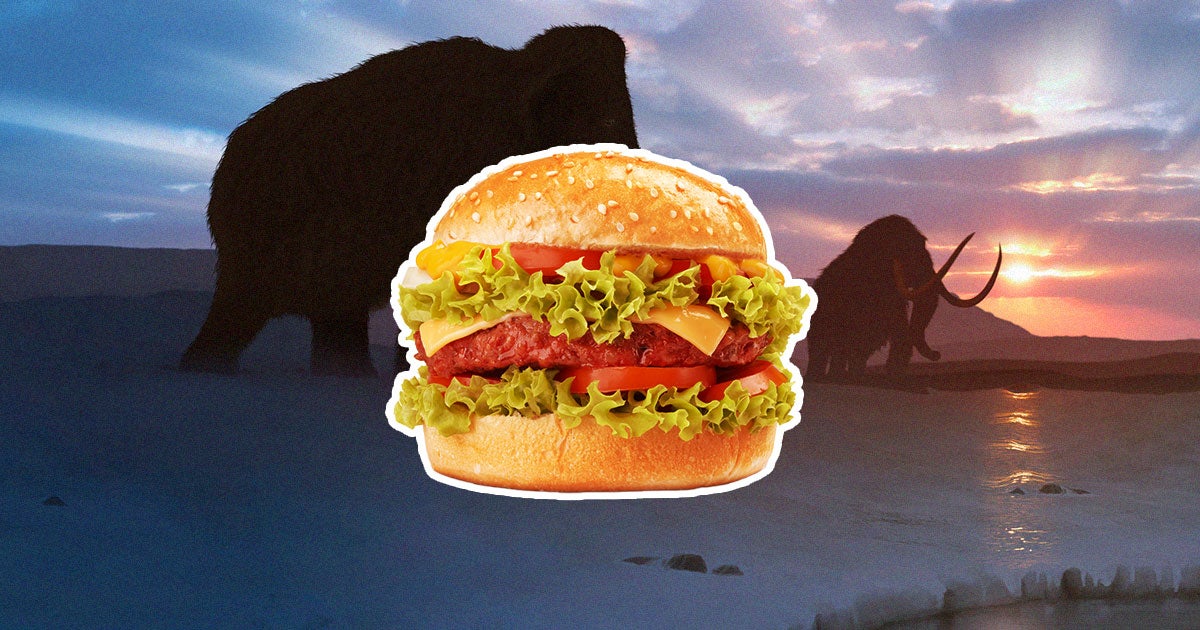 Paleo, a Belgian competitor experimenting with mammoth protein, says a plant-based burger injected with mammoth myoglobin is delicious.
