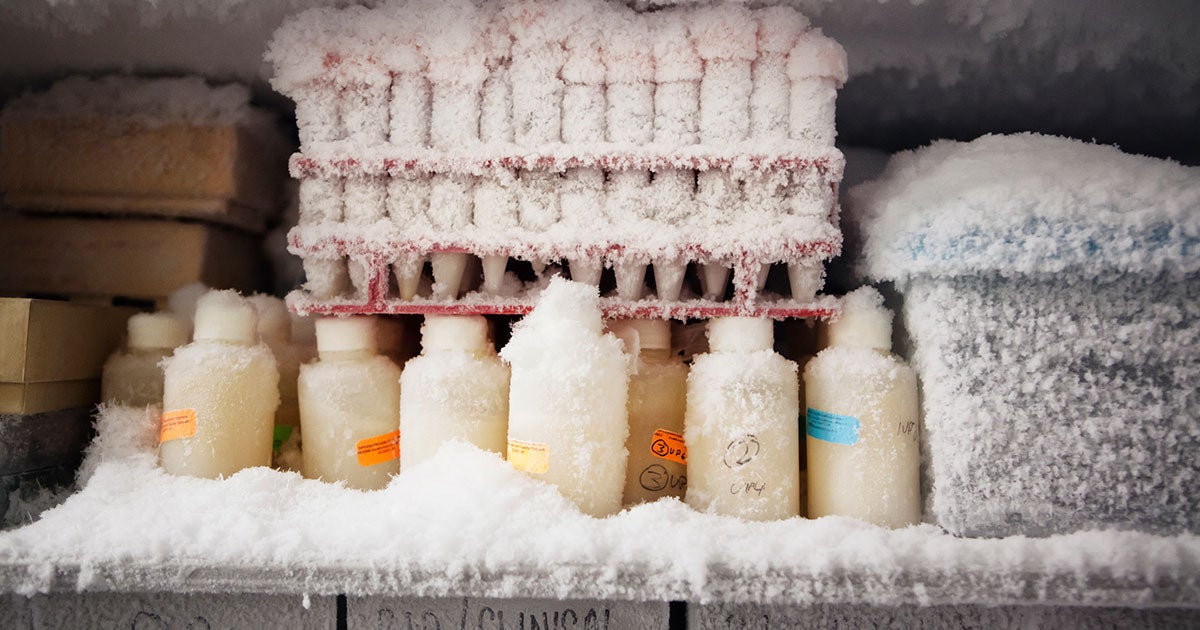 In an apparent attempt to turn off a beeping noise, a janitor turned off the breaker to a freezer that contained extremely valuable research.