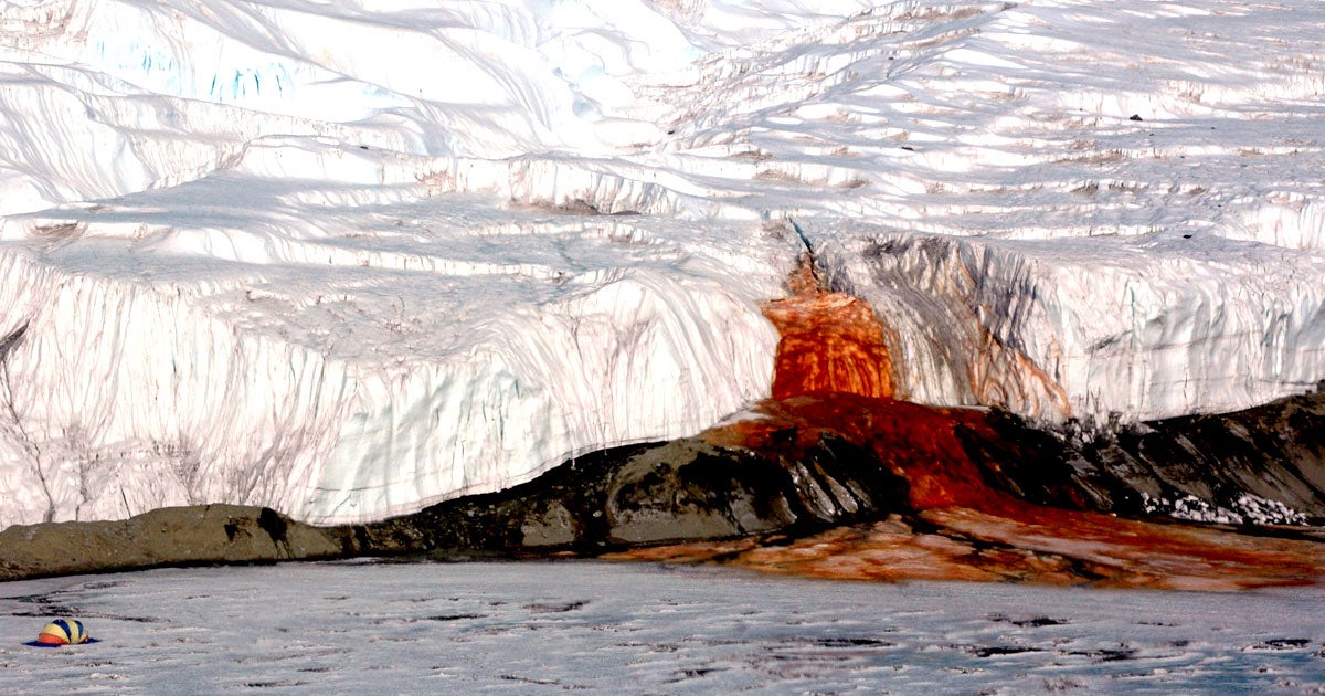 For over 100 years, scientists have been puzzling over a blood-red liquid seeping out of a glacier in Antarctica. Until now.