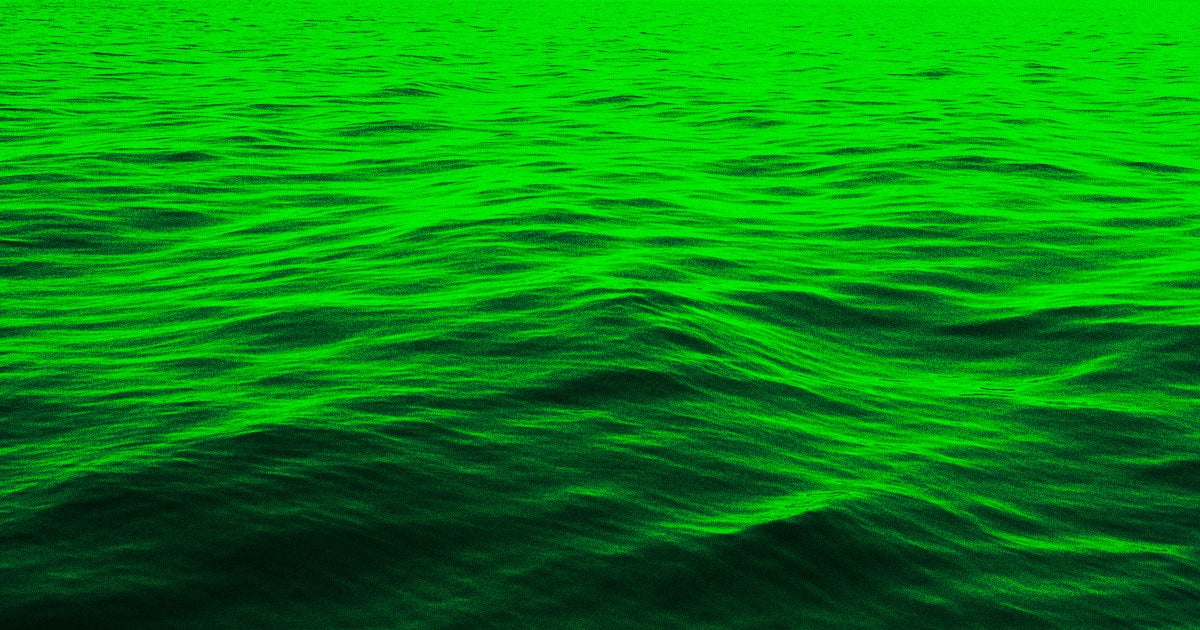 A study that tracked the ocean surface over two decades found that it's slowly getting greener, likely due to climate change.