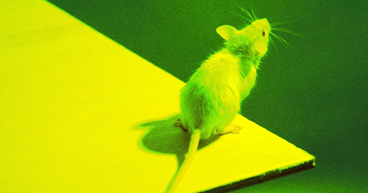 A secret lab was found with 1,000 mice designed to carry COVID-19, alongside vials of human blood and diseases like malaria and HIV.