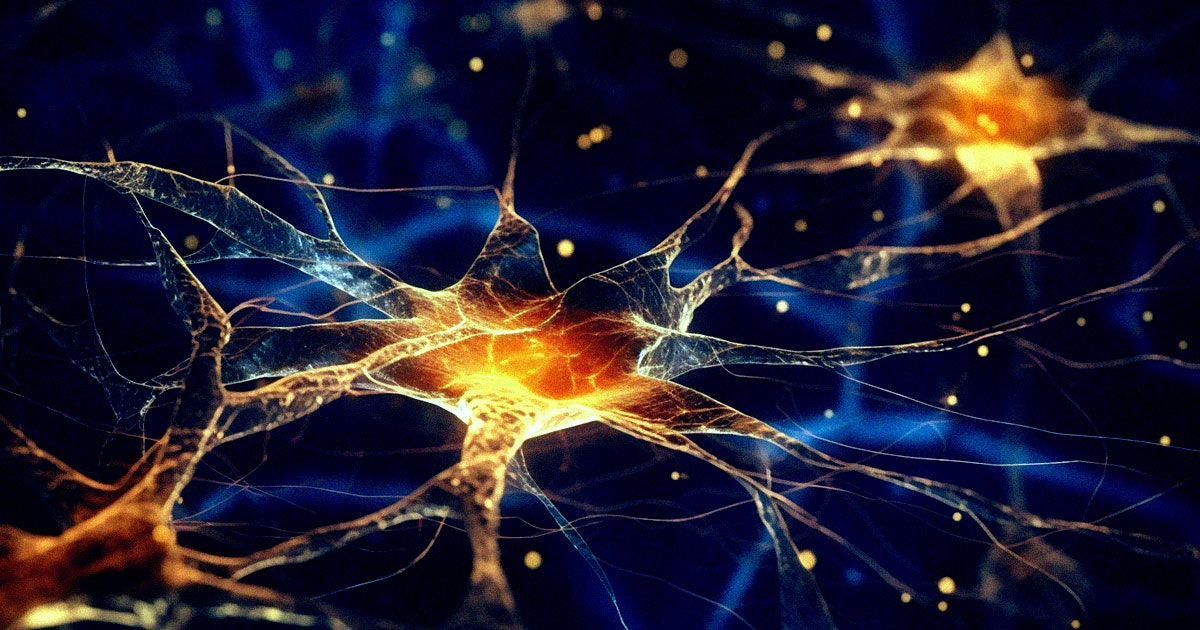 Scientists are calling a new drug called donanemab a "turning point" in the fight against Alzheimer's. A trial showed promising results.
