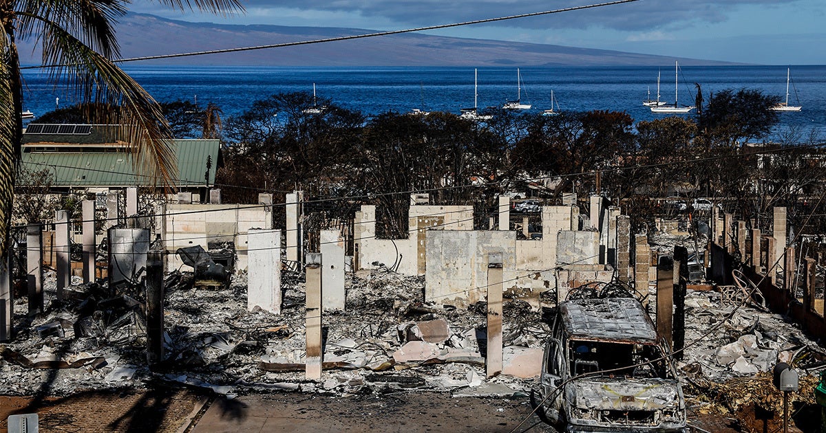 A book claiming to document the events of the Maui wildfires was published on Amazon just days after the deadly disaster had begun.