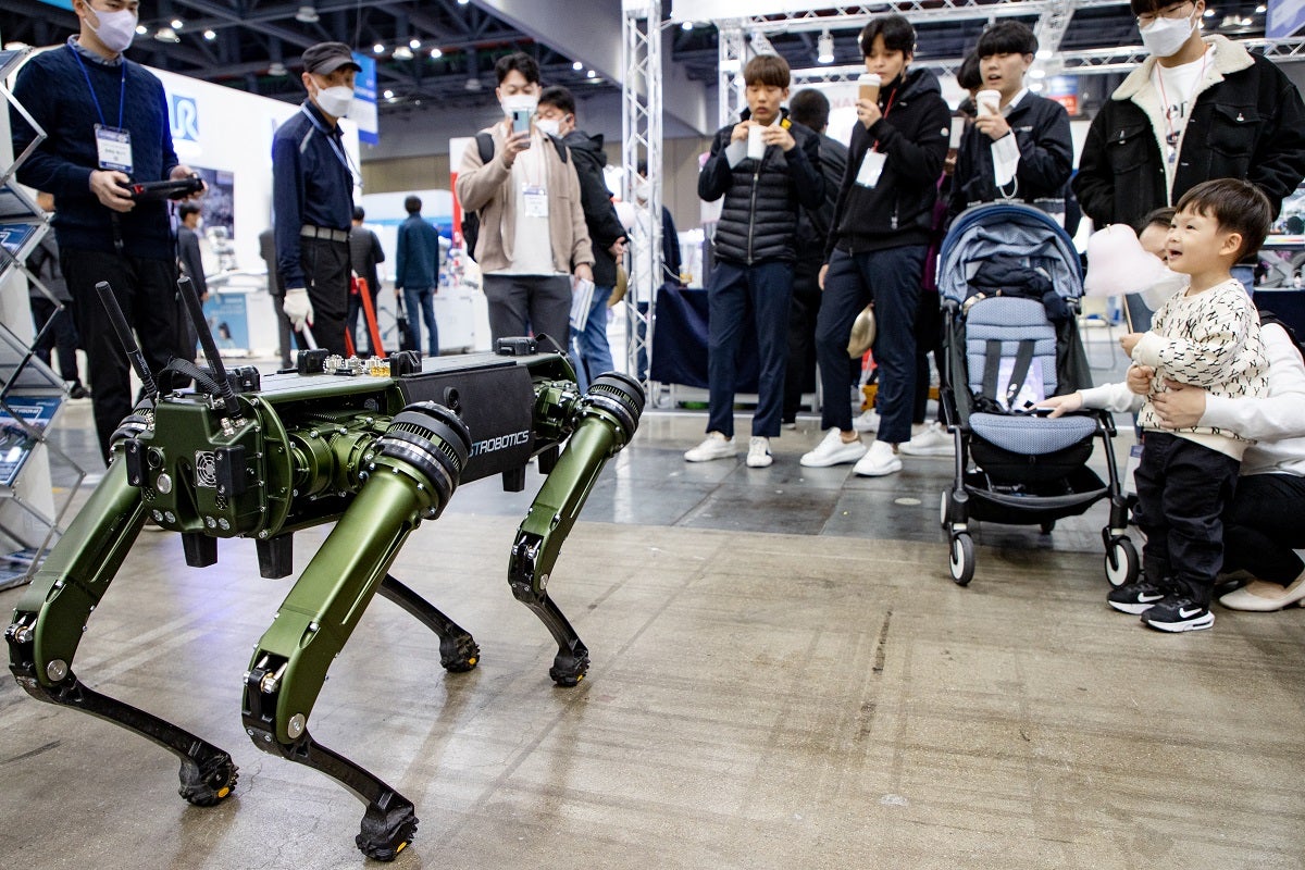The brain geniuses at the Pentagon have decided that a good use of the taxpayer dollar is to attach rifles onto the backs of robot dogs.