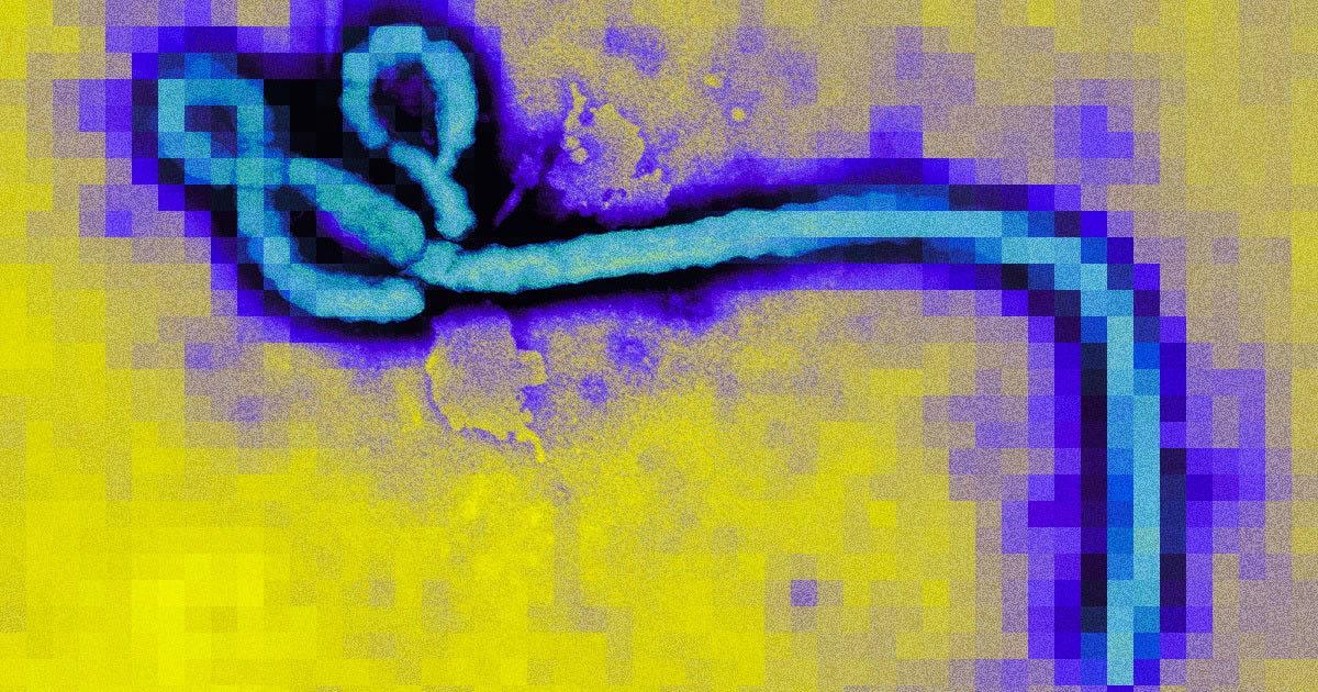 Ebola AI Detection