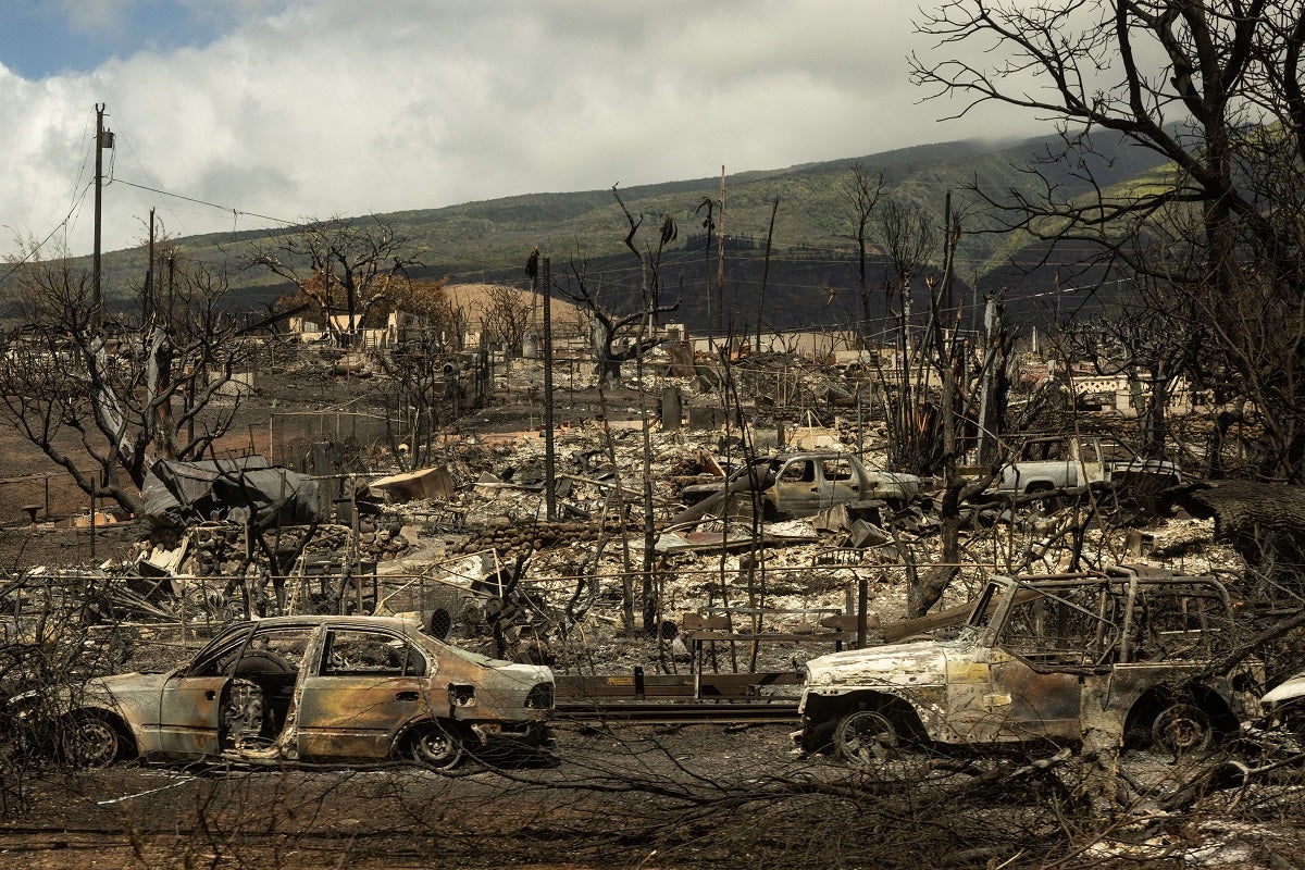According to a joint report from NASA and NOAA scientists, July may have just been the hottest month in recorded history.