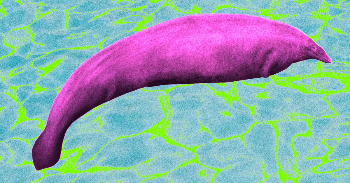 large prehistoric whale small head