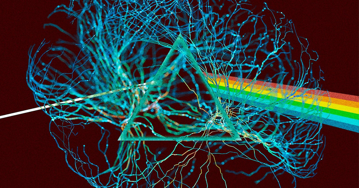 After a decade of research, scientists have managed to recreate a song from brain recordings with the help of AI.