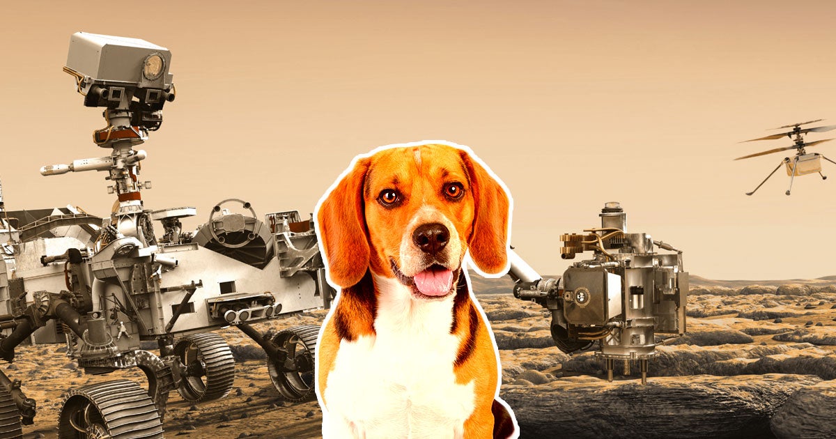 Since landing on the planet back in 2021, NASA's Mars Perseverance rover has generated enough oxygen for a small dog to breathe for 10 hours.