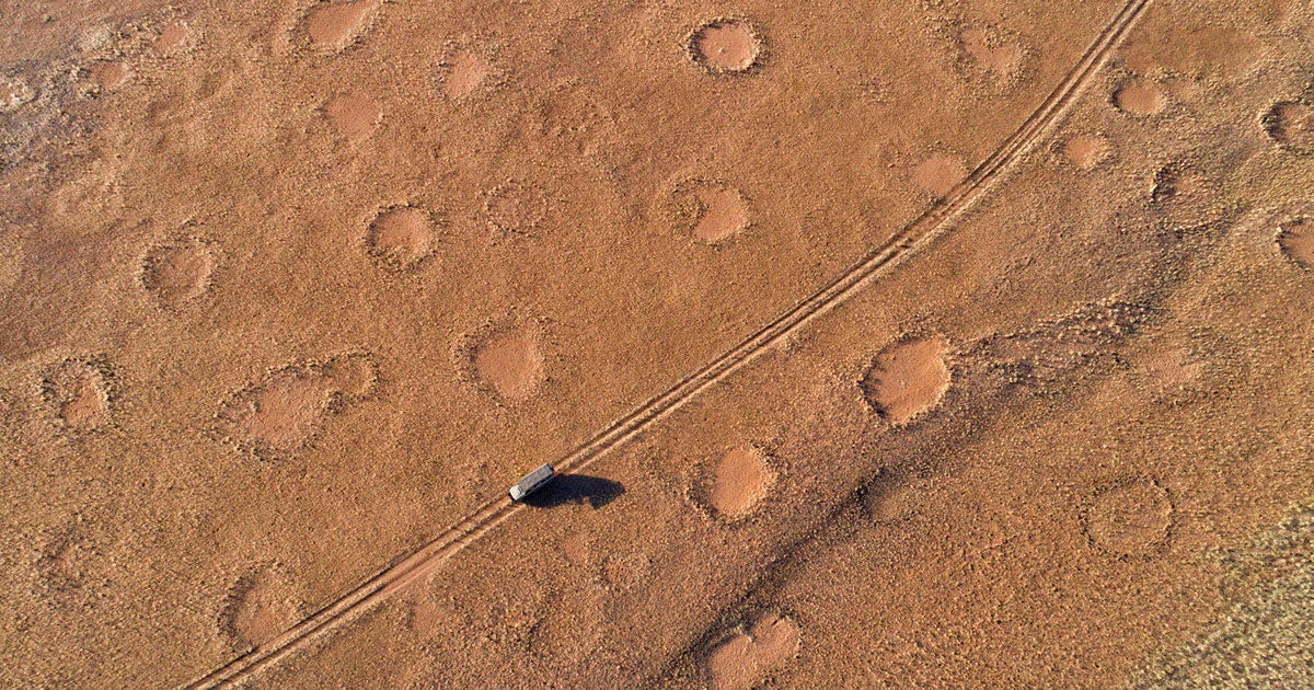 Using artificial intelligence, researchers have discovered thousands of new mysterious "fairy circles" in hundreds of locations.