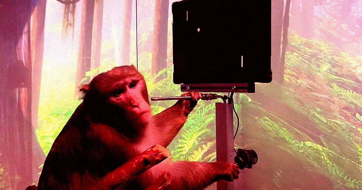 An investigation by Wired reveals the grisly complications of Neuralink brain implants in monkeys, including brain swelling and paralysis.