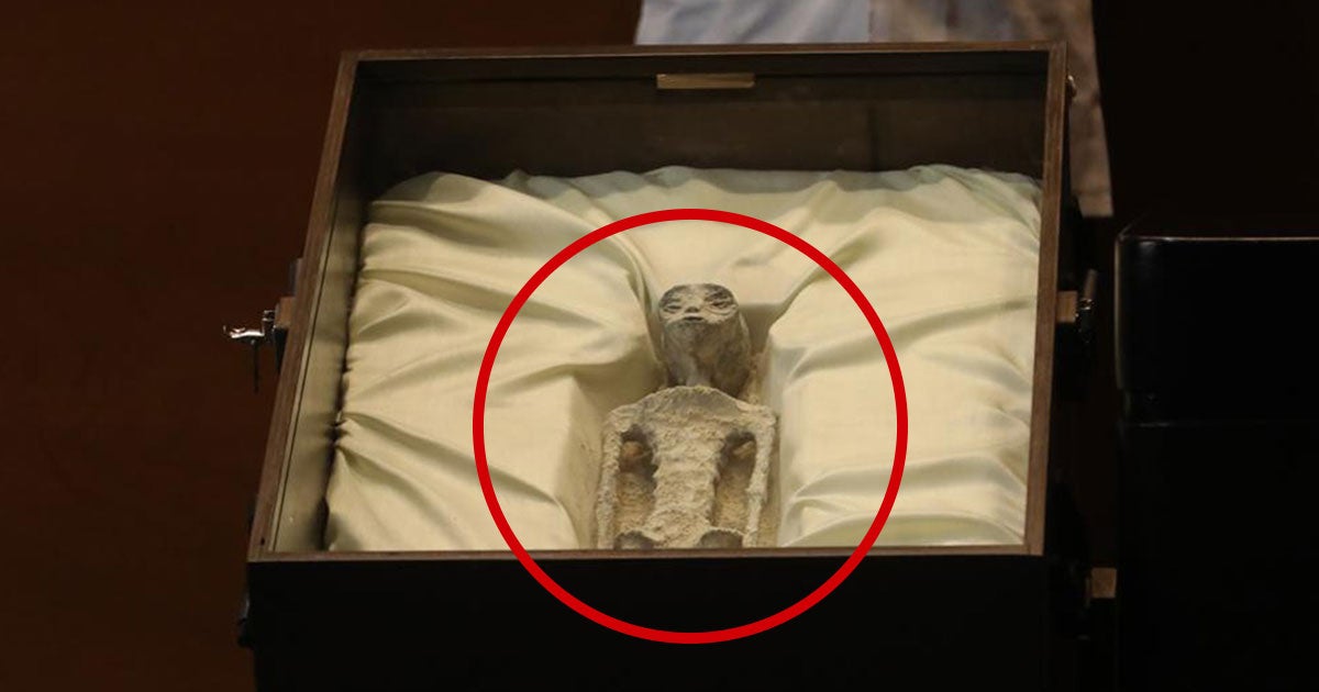 A self-proclaimed UFOlogist unboxed incredibly fake-looking "alien mummies" allegedly found in Peru. They instantly became a meme.