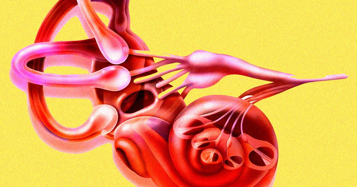 A team of researchers has kicked off the first-ever trial of a gene therapy that they say can cure a type of deafness.