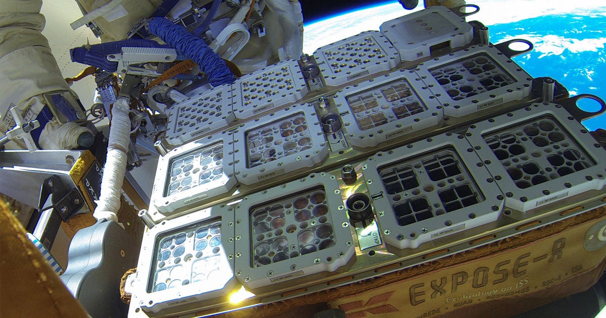 Two astronauts on the ISS are gearing up for a spacewalk to figure out if microorganisms on the outside of the station can survive.